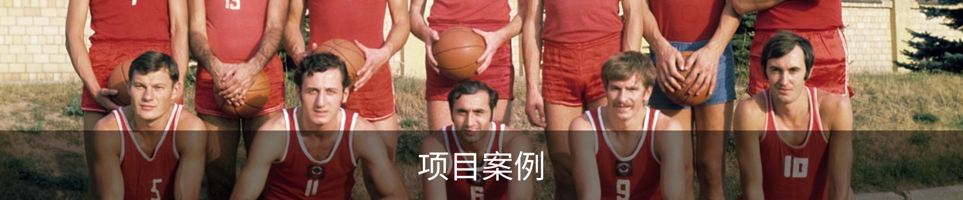 项目案例